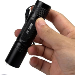 UV Money Detector