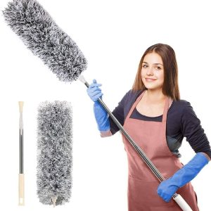 Duster Cleaner Brush (২ পিস)